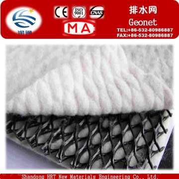 High Qualtiy Manufacturers Geosynthetics Geonet